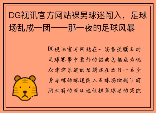 DG视讯官方网站裸男球迷闯入，足球场乱成一团——那一夜的足球风暴